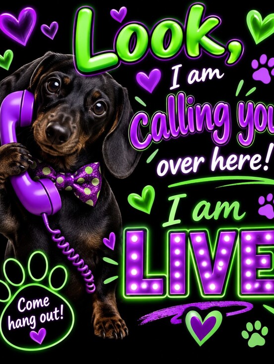 Accessories - 🐸🐸🐸🐸🐸BREND JASSO LIVE 🐸🐸🐸🐸🐸🐸🐸🐸🐸🐸🐸🦋🦋🦋🦋🦋🦋🦋🪼🪼🪼🦋🍬🍬🍬🍬